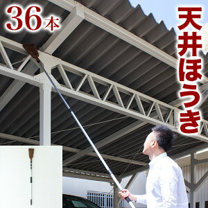yyVX[p[SALEQzق Vp Ɩp 30{ Zbg V   O Lk Lт L΂ | NNn 280cm 3m z[L  zEL  H H gbN q g