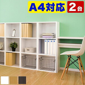 yԌ P2{z2Zbg J[{bNX 3i ؐ 40 A4 _[NuE/i`/zCg ؐ {I X A4{I A4I 40 A4LOt@C [ Ot@C ݑ[N  