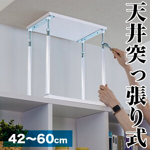 y匈ZSALEJÒzV˂胆jbg 42cm`60cm ς_   nk Ƌ]|h~ ˂_ hЃObY Ƌ]|h~Lk_ ϐk |[ ~j Ƌ]|h~_ Lk_ 