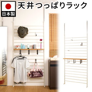 EH[bN 95 Vo[/AC{[/_[NuE { _[bN ˂胉bN ^ ǖʎ[ IV  [ tbNt I ς ACA  ^ ͂ n