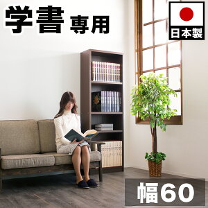 yHCeA JÒzI 60 VFt 2.5cm   T } 发 d G   ۊ  {I ܂Ȃ v  I VbN _[NuE ڎ 