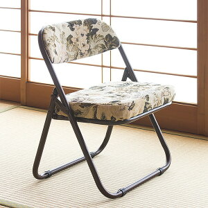 yԌ P2{z֎q ֎q RpNg   yĐ܂肽߂鍂֎q ܂肽 a֎q `FA Su hV̓̑蕨  gsv @  W 