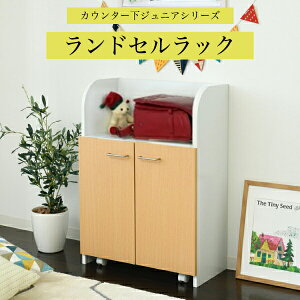 yԌ P2{zhZbN hZ[ JE^[ ჉bN {bNXt 60 85 JE^[[ s35cm t ᔠ LX^[t rO [ 