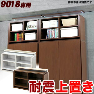 VFt9018p ςu 90cm yuE zyzCg znk΍hБϐkƋ ˂I ς莮 VFt I {I ؐ/^/ʔ/ y݁z V {I