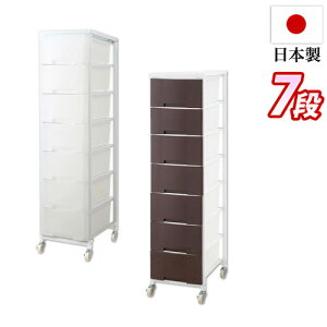 `FXg 36cm vX`bN`FXg 17i uE/zCg {  X LX^[t [S ʎ[ ߗ N[[bg  h[bN vX`bN