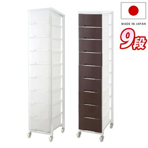 yyVX[p[SALEQz`FXg 36cm vX`bN`FXg 19i uE/zCg { X LX^[t [S N[[bg h[bN  vX`bN 