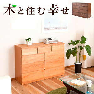 yHCeA JÒz`FXg A_[ rObN 119.5cm uE/i` ؐ { A_[ i ؐ^X o  rO [ Yi gčς 