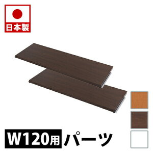 yH̃o[QSALEJÒz_[bN p Ԏd؂p[e[VpI2g 120cm zCg i` uE ՗ Ƌ  ItBX d؂ kXy[X { p[eBV