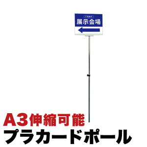 yԌ P2{zvJ[h|[ 莝|[ 莝Ŕ A3TCY  33.2x44cm Lk|[ s̐ ē mp A~̌yʎdグ