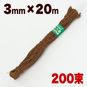 y匈ZSALEJÒziFj3mm×20mi200j200 200 L V ` K[fjO  _ Ɩ x  V  R Ђ
