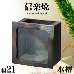y匈ZSALEJÒzMyĂ  ֊p 21 22 My  ANAE 炫    CeA aG  V NHK Aer XJ[