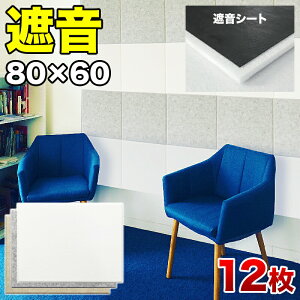 �ő�3000�~OFF�N�[�|���z�z�� 05/17(��)00:00�` �h�� �Չ� �z�� �p�l�� 80cm 60cm 45�x�J�b�g�^�C�v 12���Z�b�g �f�M ���� YouTuber ��p�B DIY �h���p�l�� �Չ��p�l�� �z���p�l�� �����x �t�F���g ���� �}