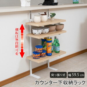 JE^[˂胉bN iK3II[vbN { 59.5cm }i`