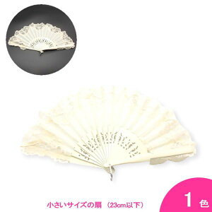 [X̏ȃAojR(24cm | Жʒ | 肠) [][tRp][XyCA][[]