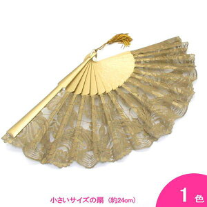 [X̃V[gAojR(24.0cmEЖʒ) S[h[][tRp][XyCA][[]