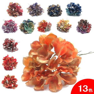 AWTC̉ԑ Cosmico(RX~R) [tRp][XyCA]