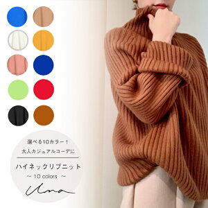 una �y�n�C�l�b�N���u�j�b�g�z high-neck rib knit ��������j�b�g �^�[�g�����u�j�b�g �������j�b�g �R�N�[���V���G�b�g ������葳 ���L���j�b�g ��l���킢���� ��l���ꂢ�� ���f�B�[�X ��