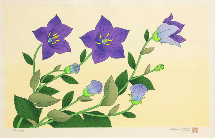楽天市場】中島千波 「 桔梗 」 花の瞬間(とき)より オリジナル 木版画 