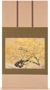 Oc u gt v ʔ E VNXN[ p |