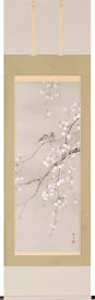 北条静香「 桜に小禽 」 掛軸 ( 尺五立 )