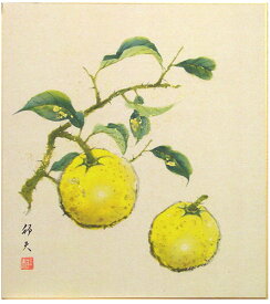 片山邦夫 「 柚子 」 色紙絵