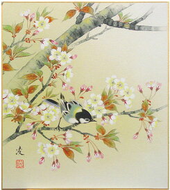 中村 凌 「 桜 」 色紙絵