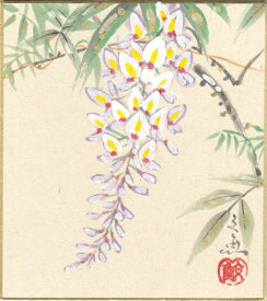 楽天市場 藤の花 色紙 絵の通販