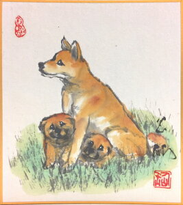 cʐ励x~jFF@wxx~jFG()