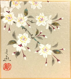 中谷文魚 「 桜 」 ミニ色紙絵 (寸松庵 )