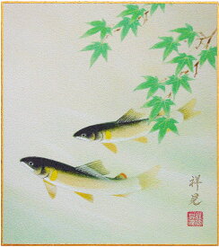 楽天市場 色紙 鮎の通販