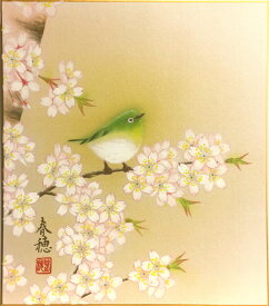 藤田春穂 「 桜に小禽 」(1) 色紙絵