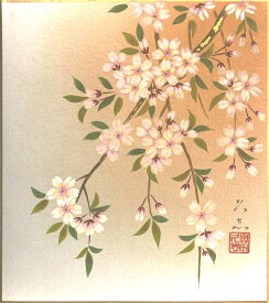 楽天市場 桜 色紙の通販 楽天市場 桜 色紙の通販