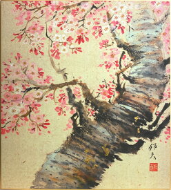 片山邦夫 「 桜 」(2)　色紙絵