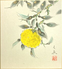 中谷文魚 「 柚子 」(2) 色紙絵