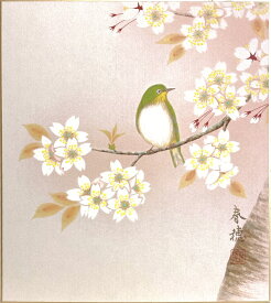 藤田春穂 「 桜に小禽 」(2) 色紙絵