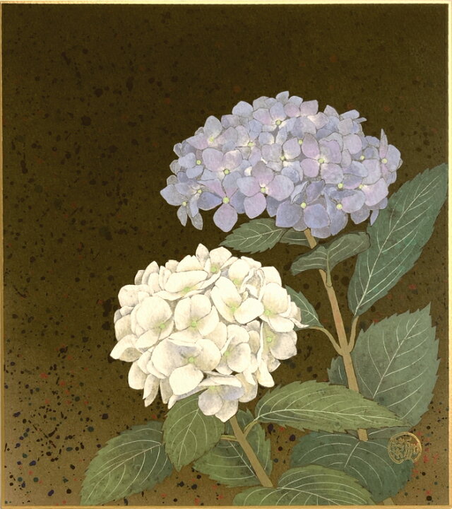 楽天市場】白木菜加 「 紫陽花 」 色紙絵 : 内田画廊