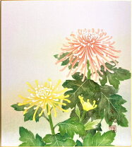 楽天市場】藤田春穂 菊の通販