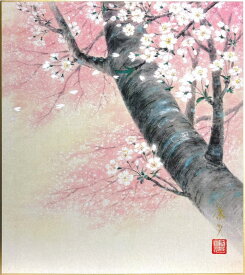 中西康多 「 桜 」 色紙絵