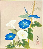 中谷文魚 「 朝顔 」 (白×青) 色紙絵