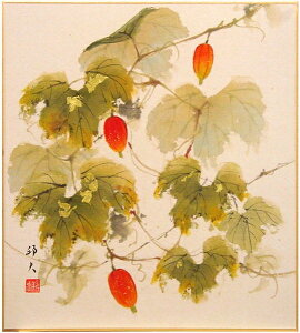 ЎRMv u 炷 v (2) FG