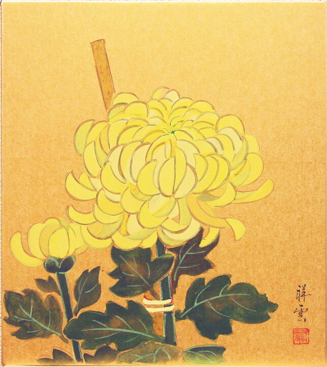 楽天市場】小木曽祥雲 「 菊 」 色紙絵 : 内田画廊