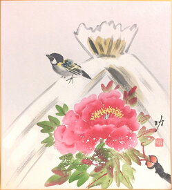 楽天市場 寒牡丹の通販