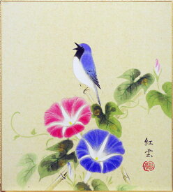 楽天市場 色紙 絵 朝顔の通販