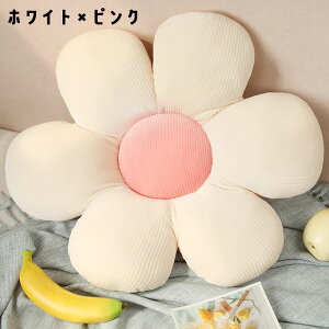 bsO yӂӂIt[NbVz  Jt  tANbV CeA G bNX  ͗lւ 킢 ̎q  K[Y ̓ h