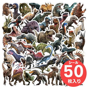 NEWV[YyA50V[z 傤イ ق V[ XebJ[ eBmTEX XsmTEX gPgvX vemh FLvg LKmgTE