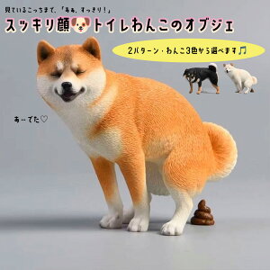 gC񂱂̃IuWF u CeA j[N 낢 ʔ DOG  Č      ObY  gC   X WO ʏ u  POP 