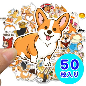yR[M[50V[zR[M[  V[ XebJ[  t[NV[ ق V[  LbY G ObY q ̎q ۈ牀 ct w w Z FB v[