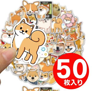 yČ50V[zČ  V[ XebJ[  t[NV[ ق V[  LbY G ObY q ̎q ۈ牀 ct w w Z FB v[g v