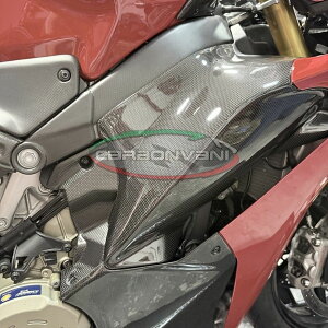 CARBONVANI J[{o[j DUCATI V4S 2025 TChpl Ê݃hDJeB