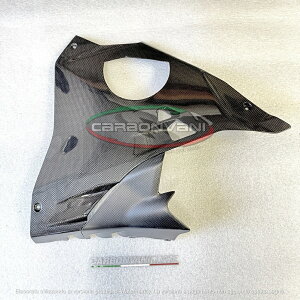 CARBONVANI J[{o[j DUCATI V4S 2025 x[p hDJeB